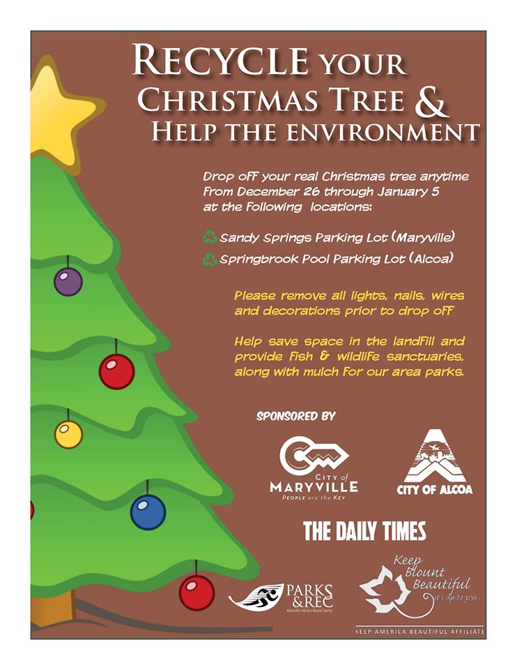 a flyer for a christmas tree and help the environment
